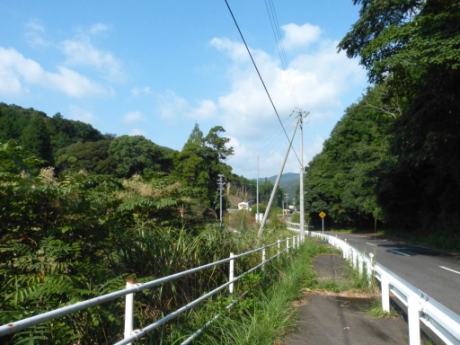 画像49